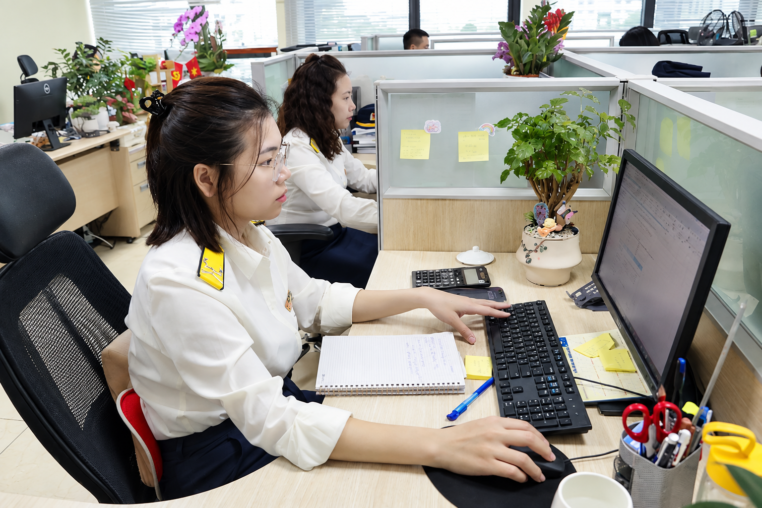 Dữ liệu hóa đơn