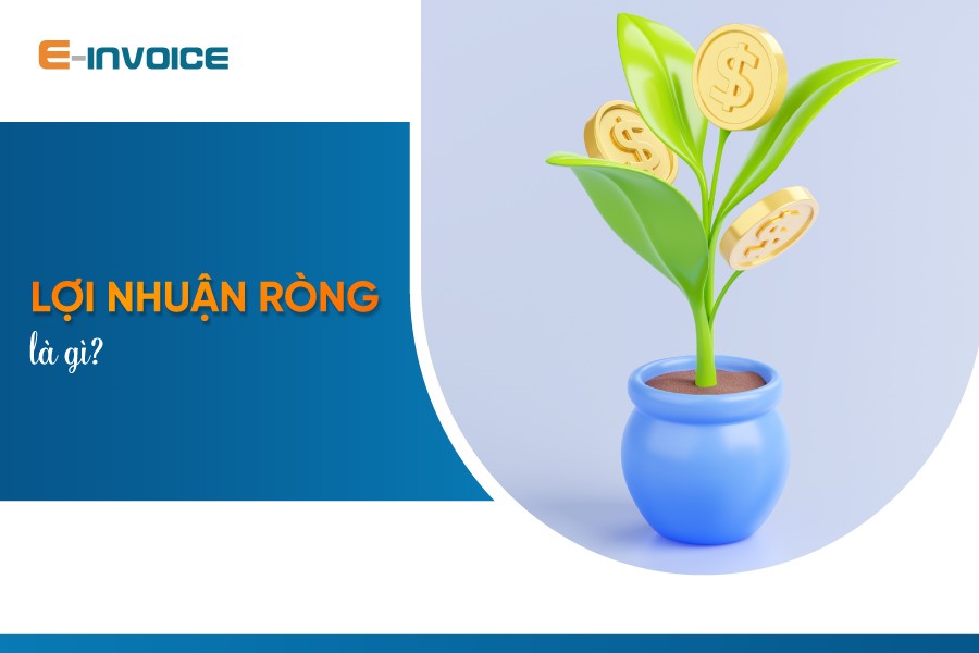 Lợi nhuận ròng