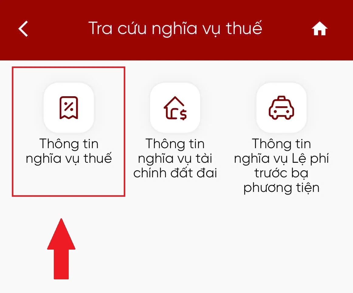 Thông tin nghĩa vụ thuế cần tra cứu