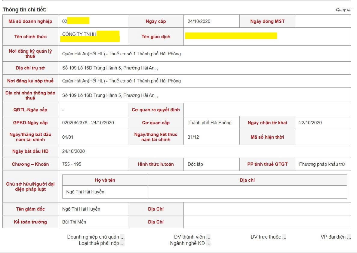 Giao diện thông tin người nộp thuế